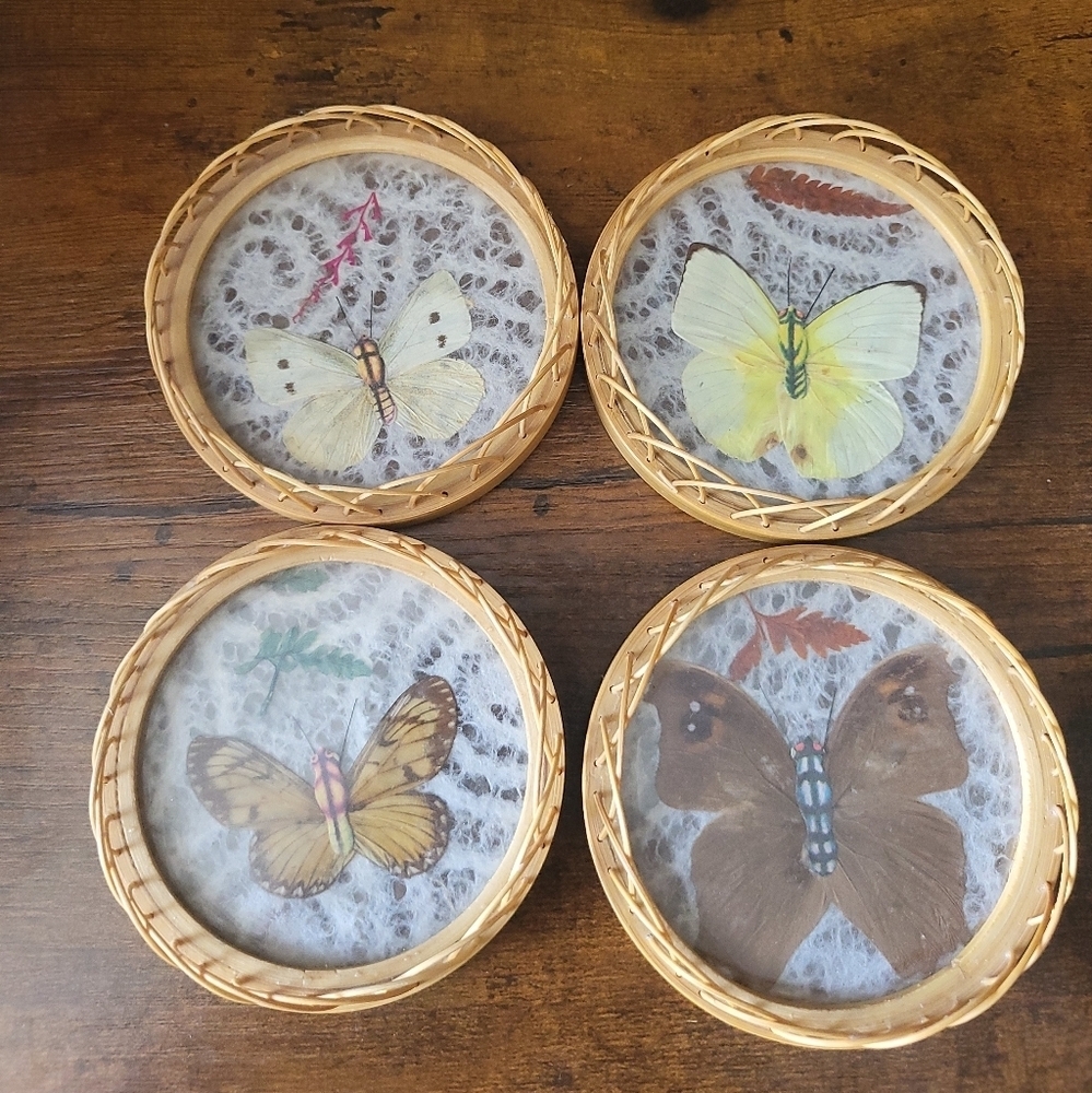 Set of 4 Vintage Pressed Butterfly Coasters with Wicker Frame